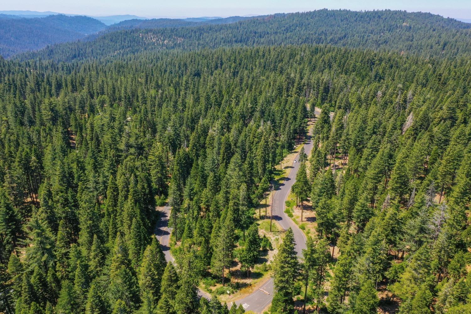 10 Timber Trail Court