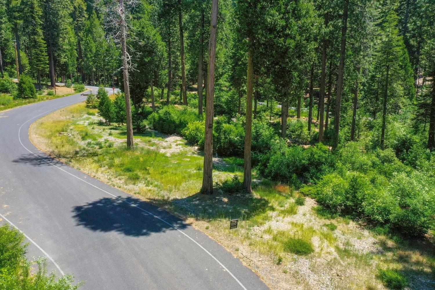 10 Timber Trail Court