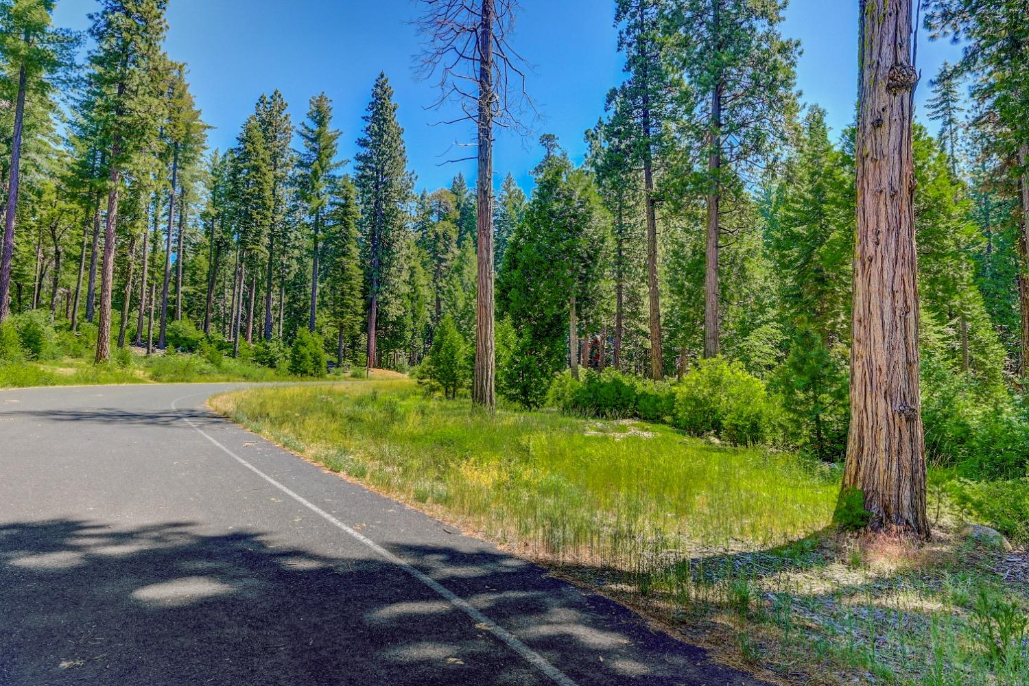 10 Timber Trail Court