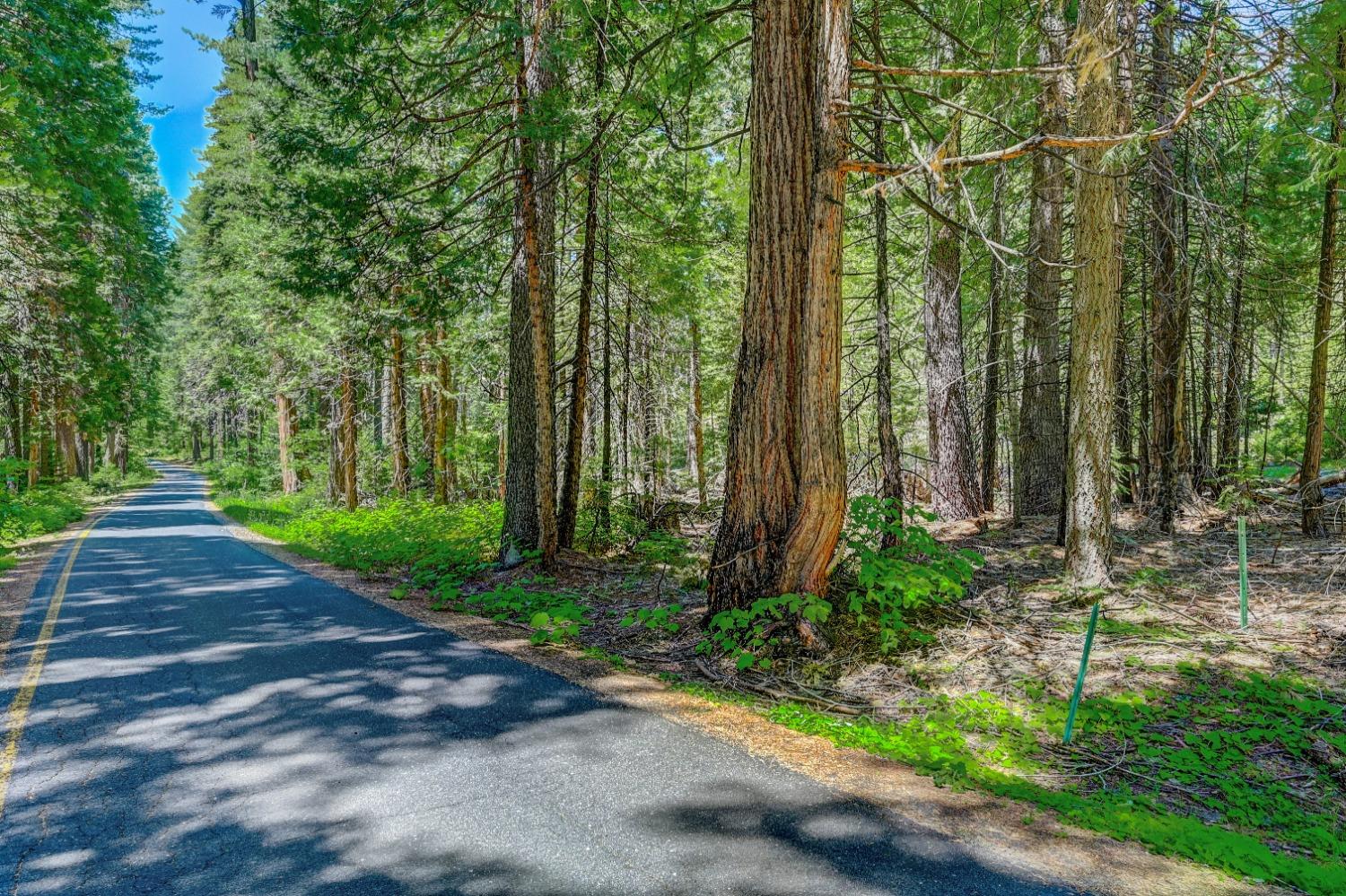 10 Timber Trail Court