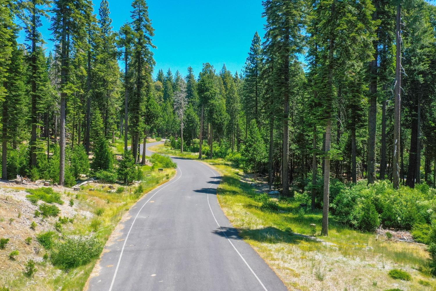 10 Timber Trail Court