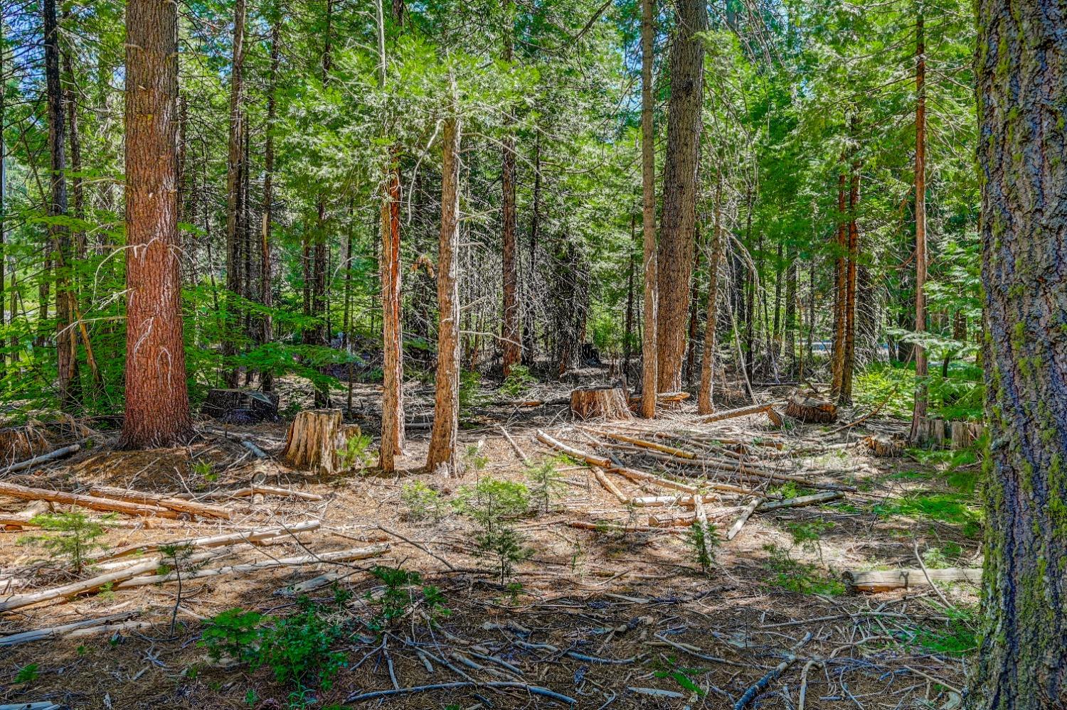 10 Timber Trail Court