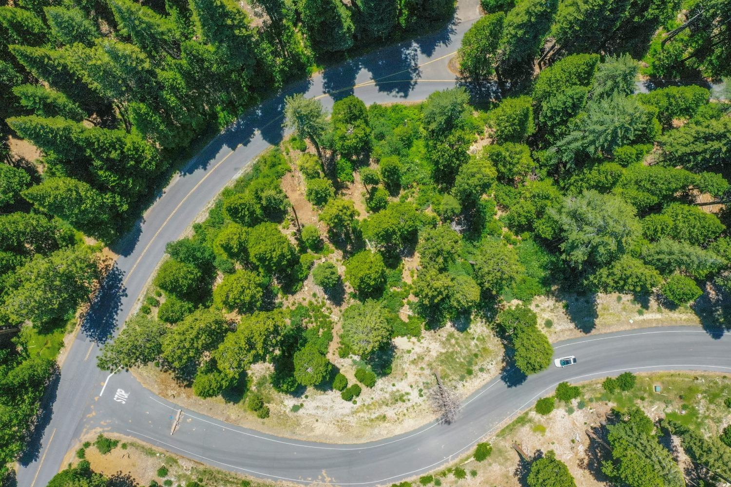 10 Timber Trail Court