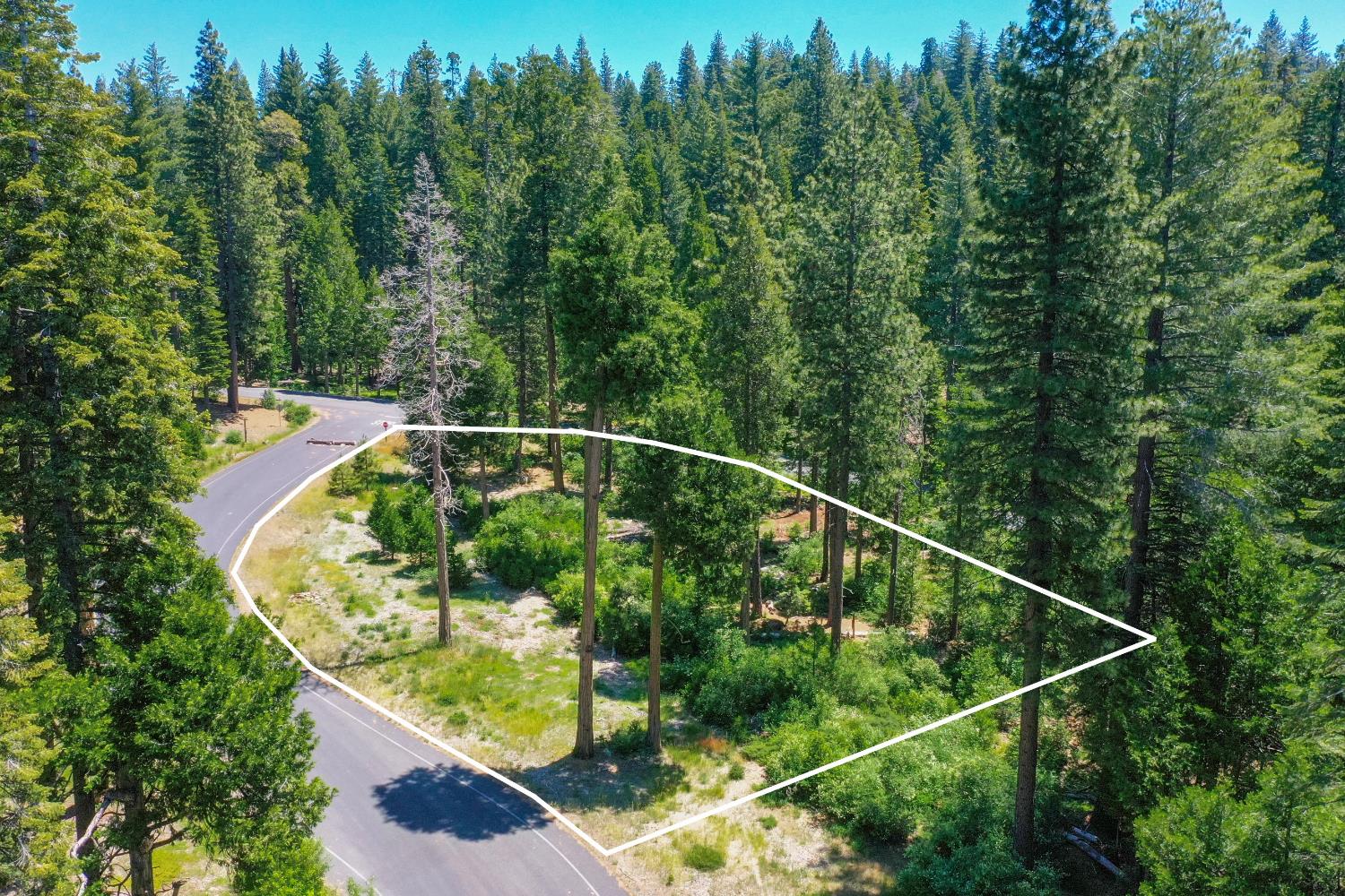 11 Timber Trail Court