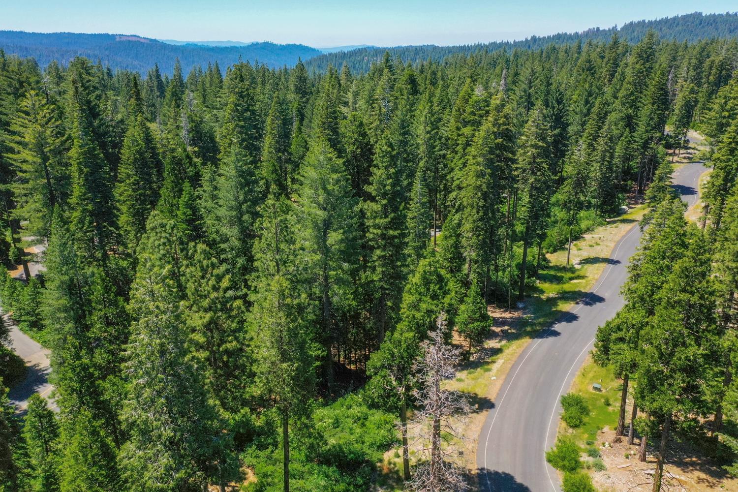 11 Timber Trail Court