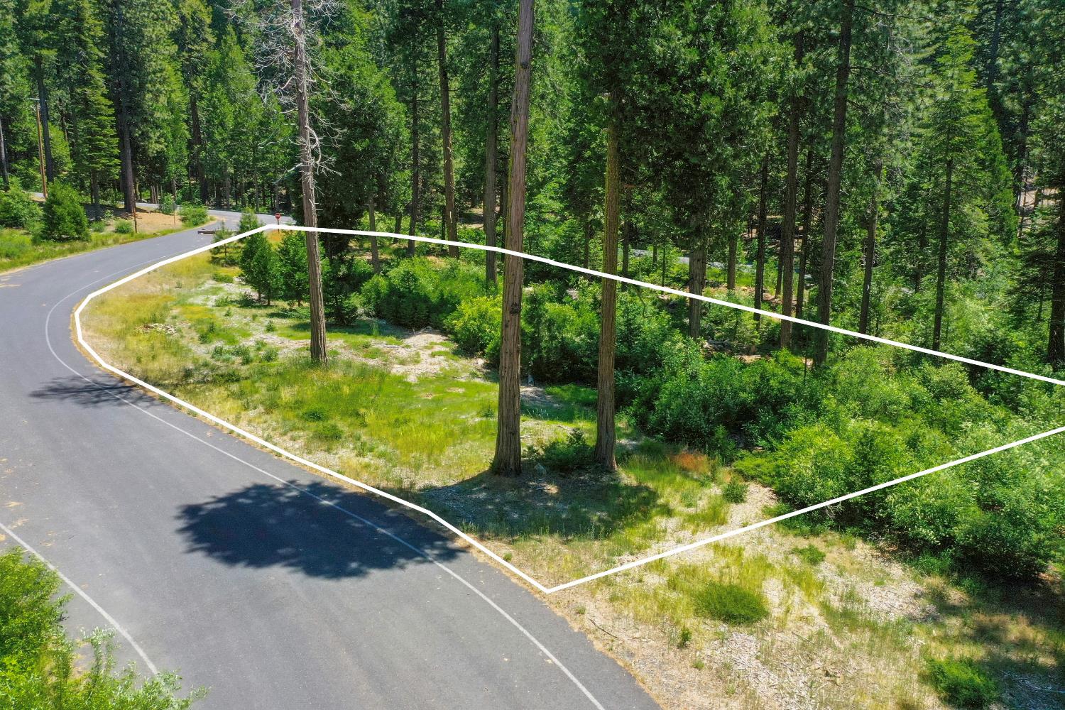 11 Timber Trail Court