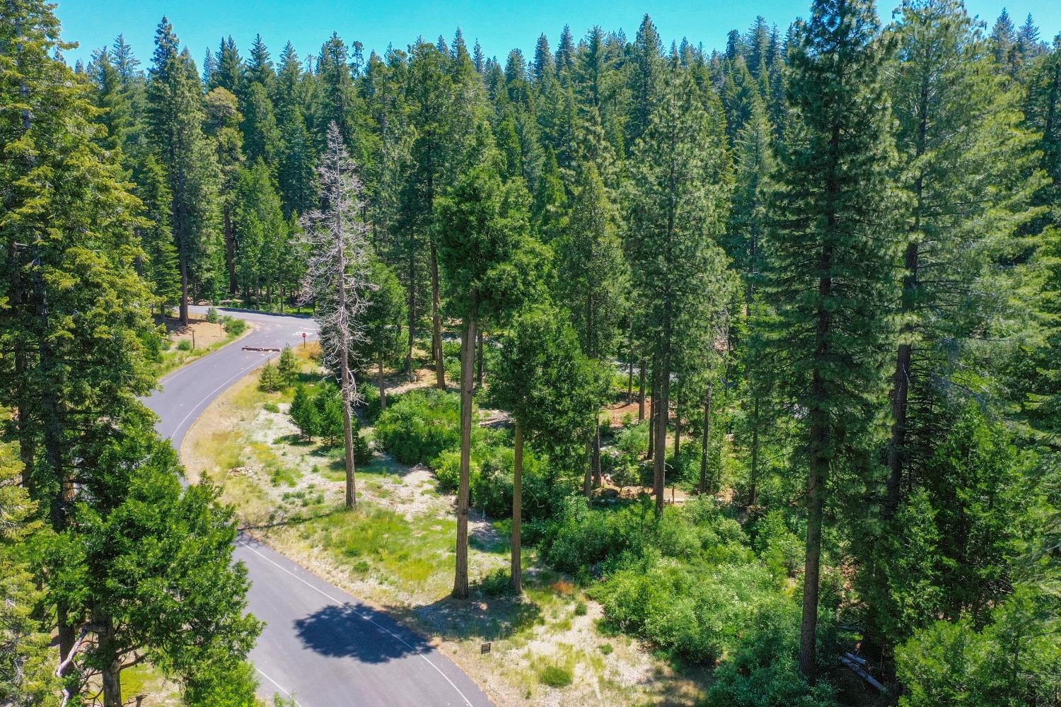 11 Timber Trail Court