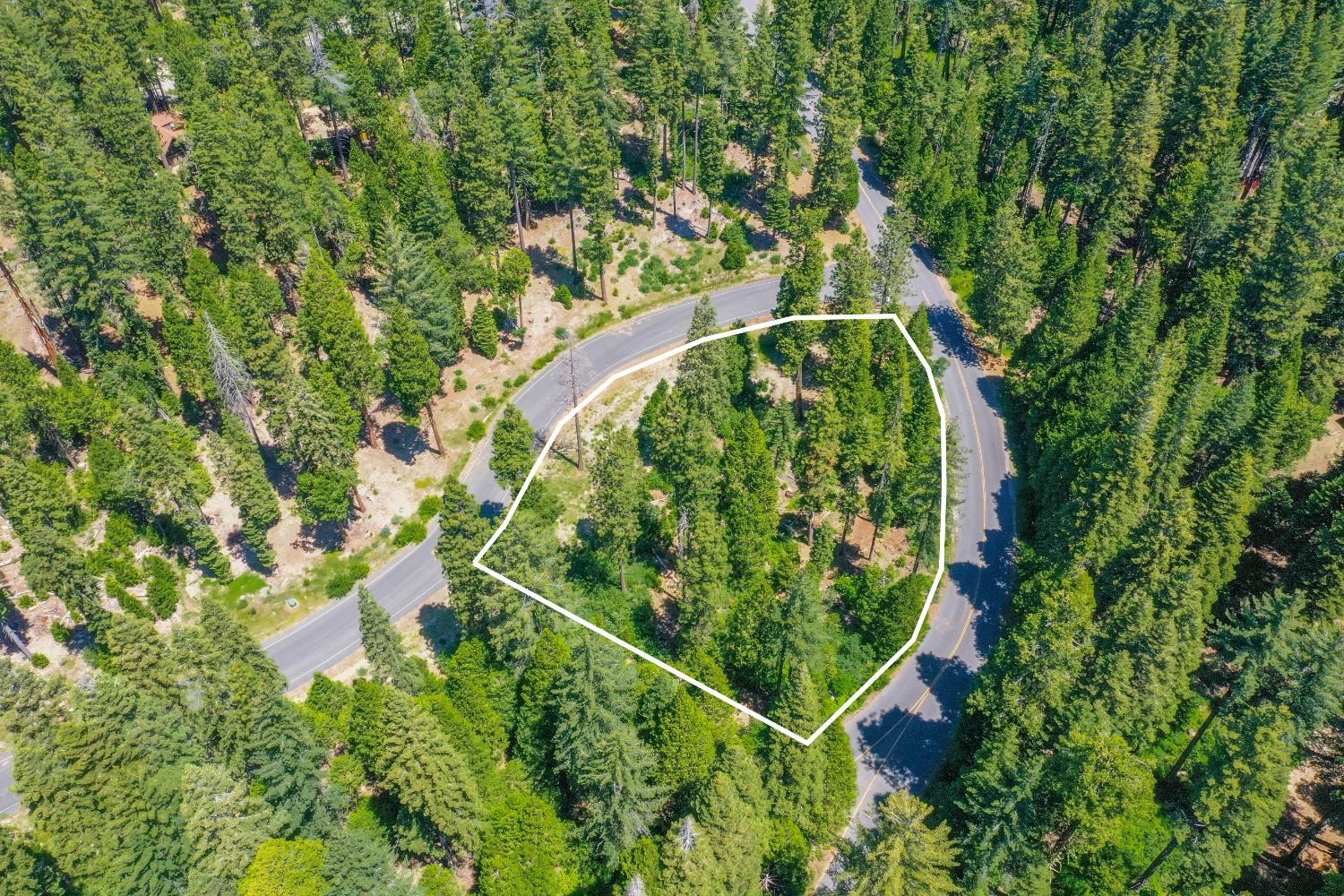 11 Timber Trail Court