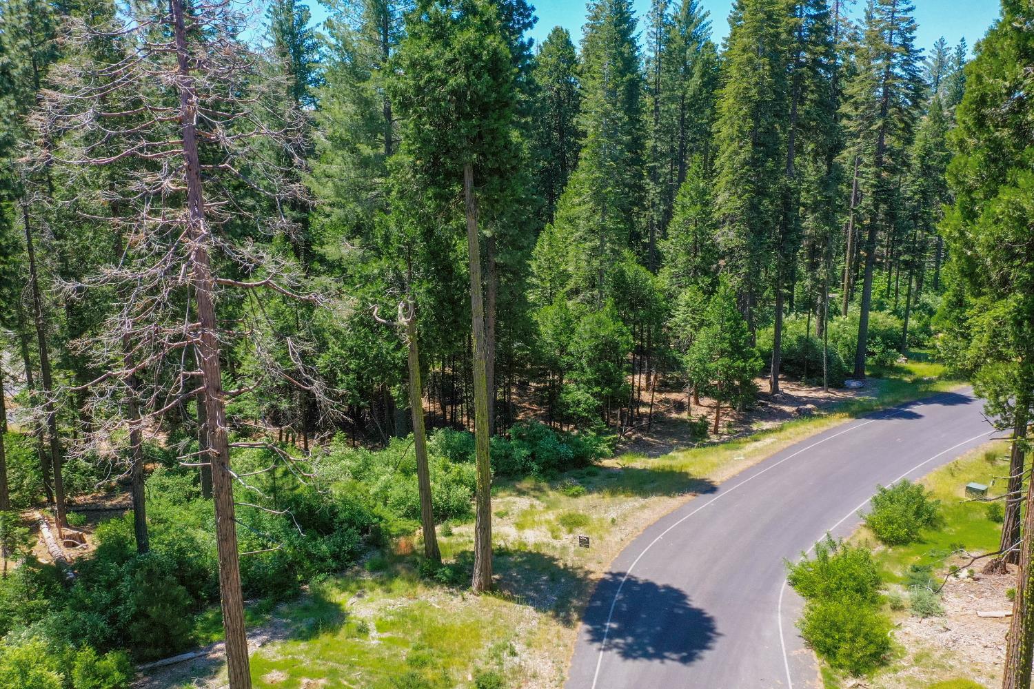 11 Timber Trail Court