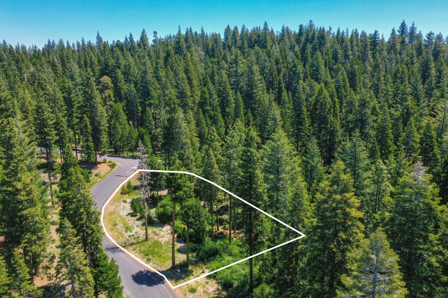 11 Timber Trail Court