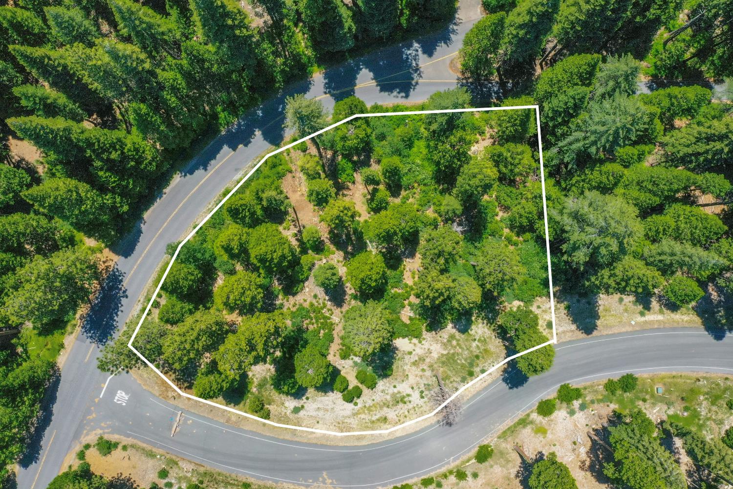 11 Timber Trail Court