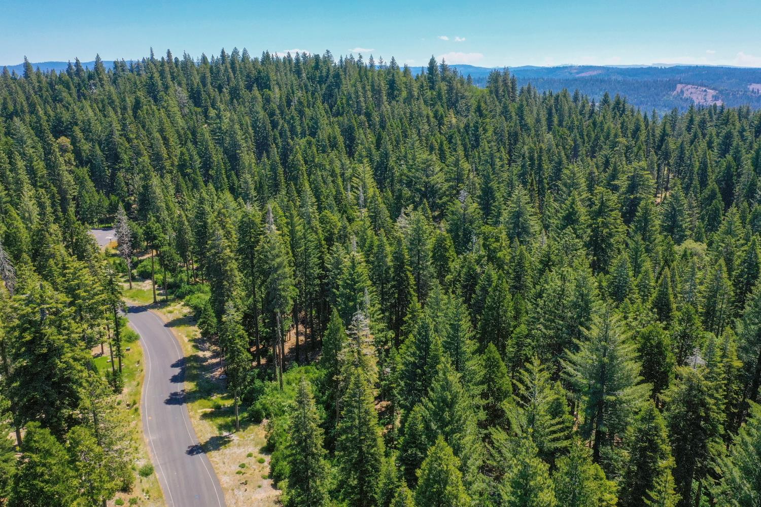 11 Timber Trail Court