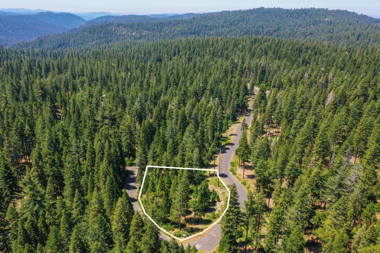 11 Timber Trail Court