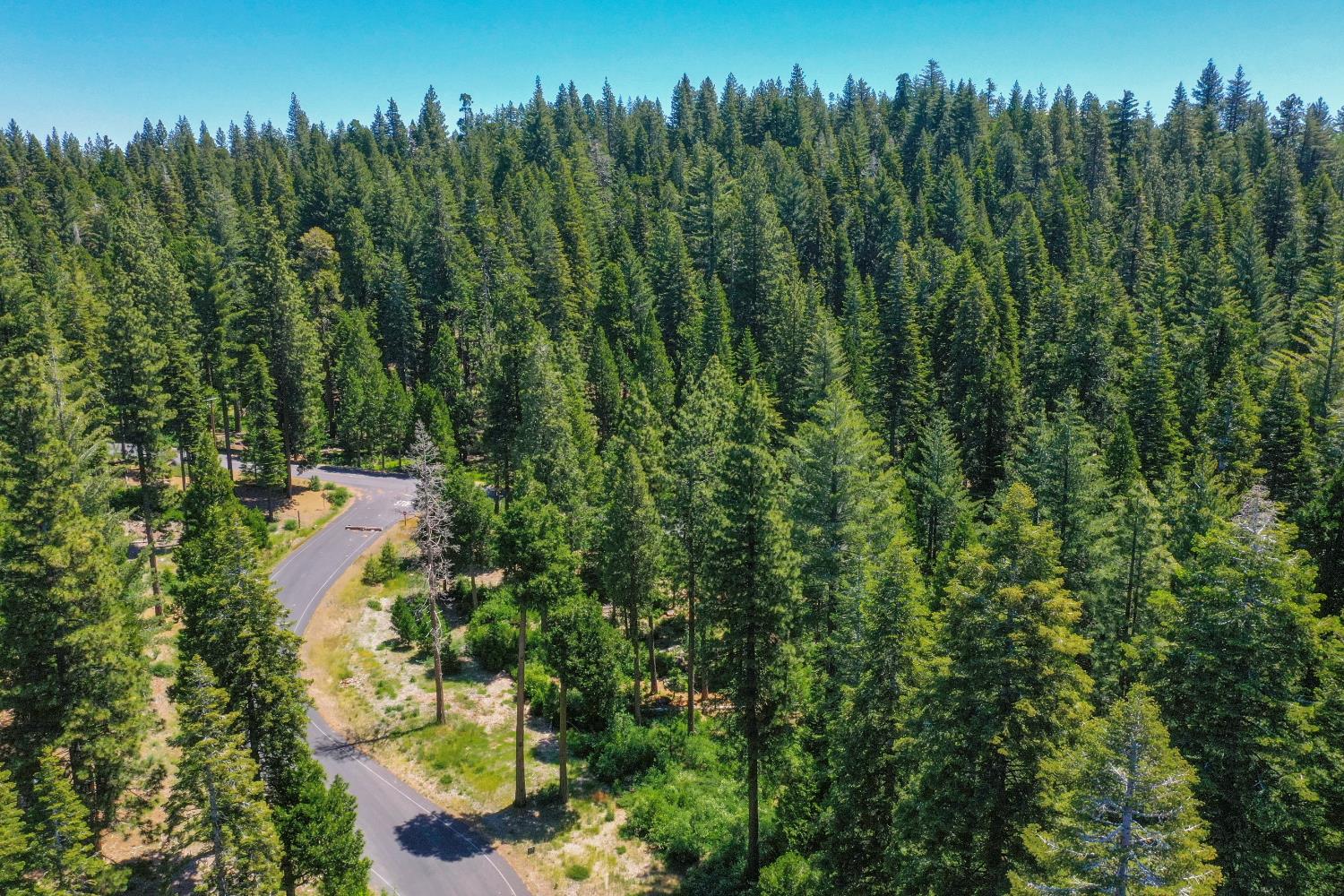 11 Timber Trail Court