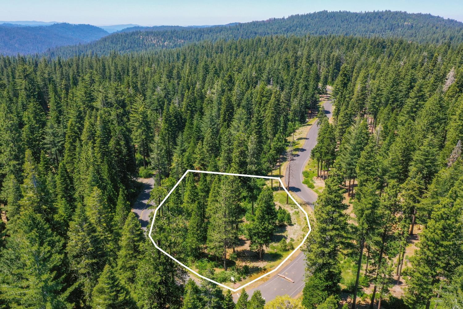11 Timber Trail Court