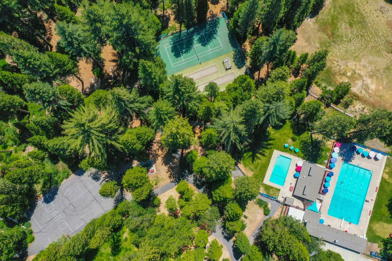 11 Timber Trail Court