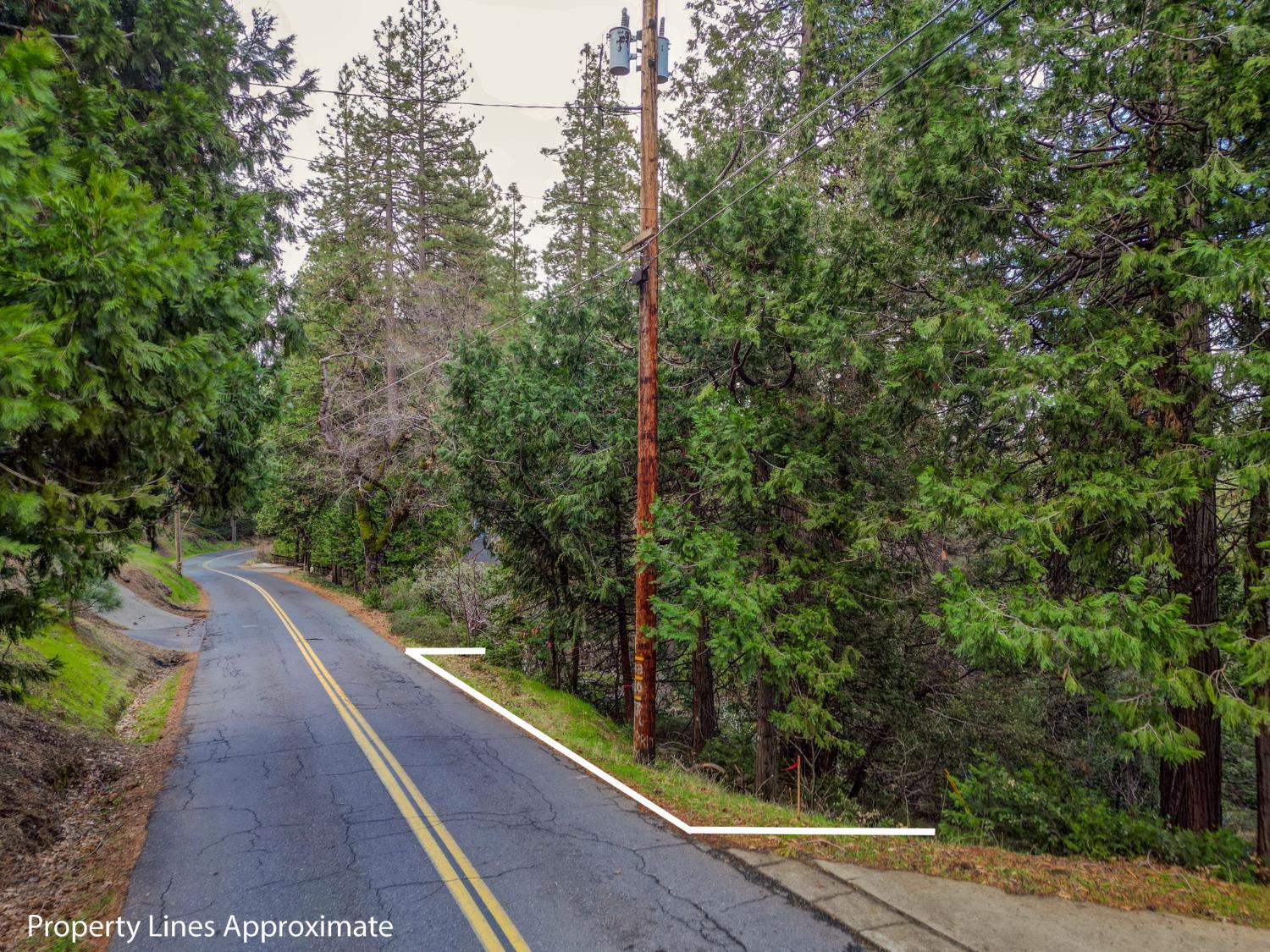 593 Avery Sheep Ranch Road