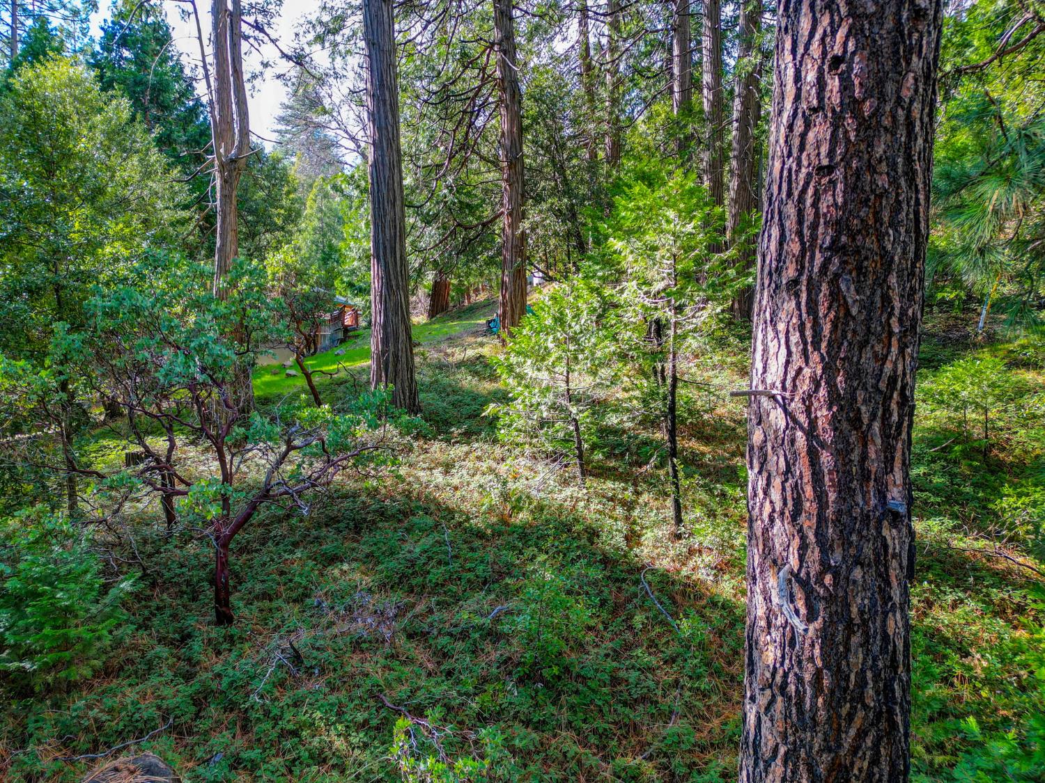 593 Avery Sheep Ranch Road
