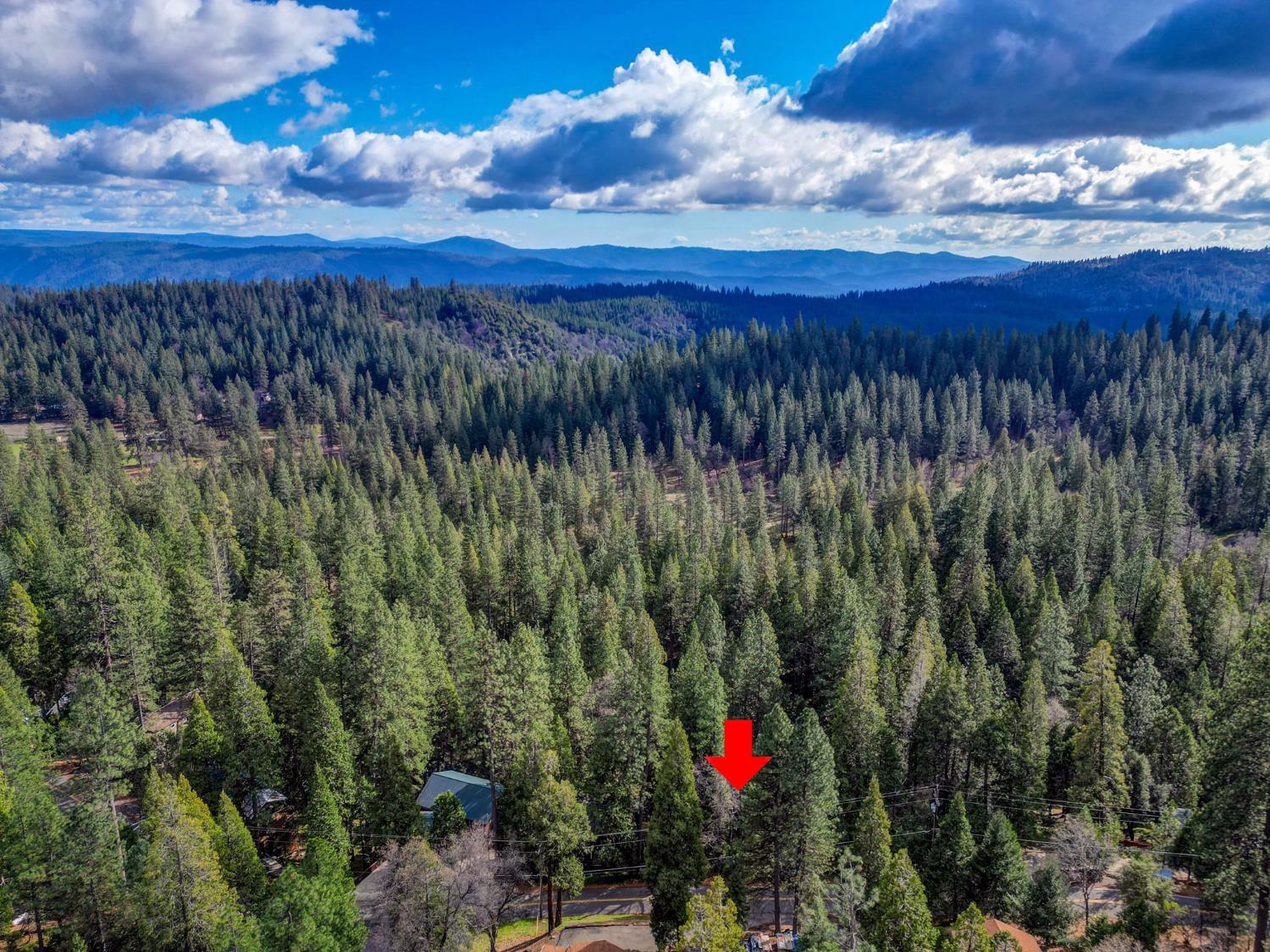 593 Avery Sheep Ranch Road