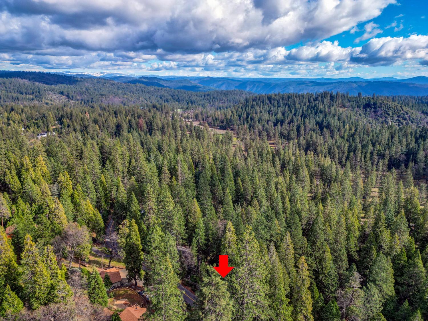 593 Avery Sheep Ranch Road