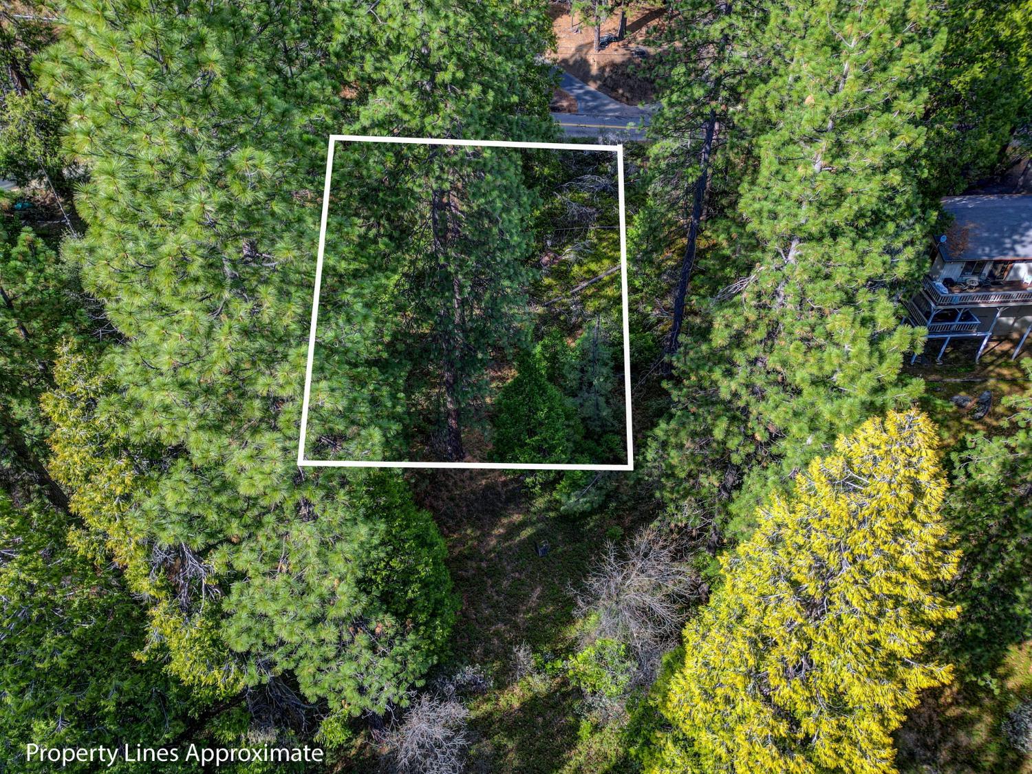 593 Avery Sheep Ranch Road