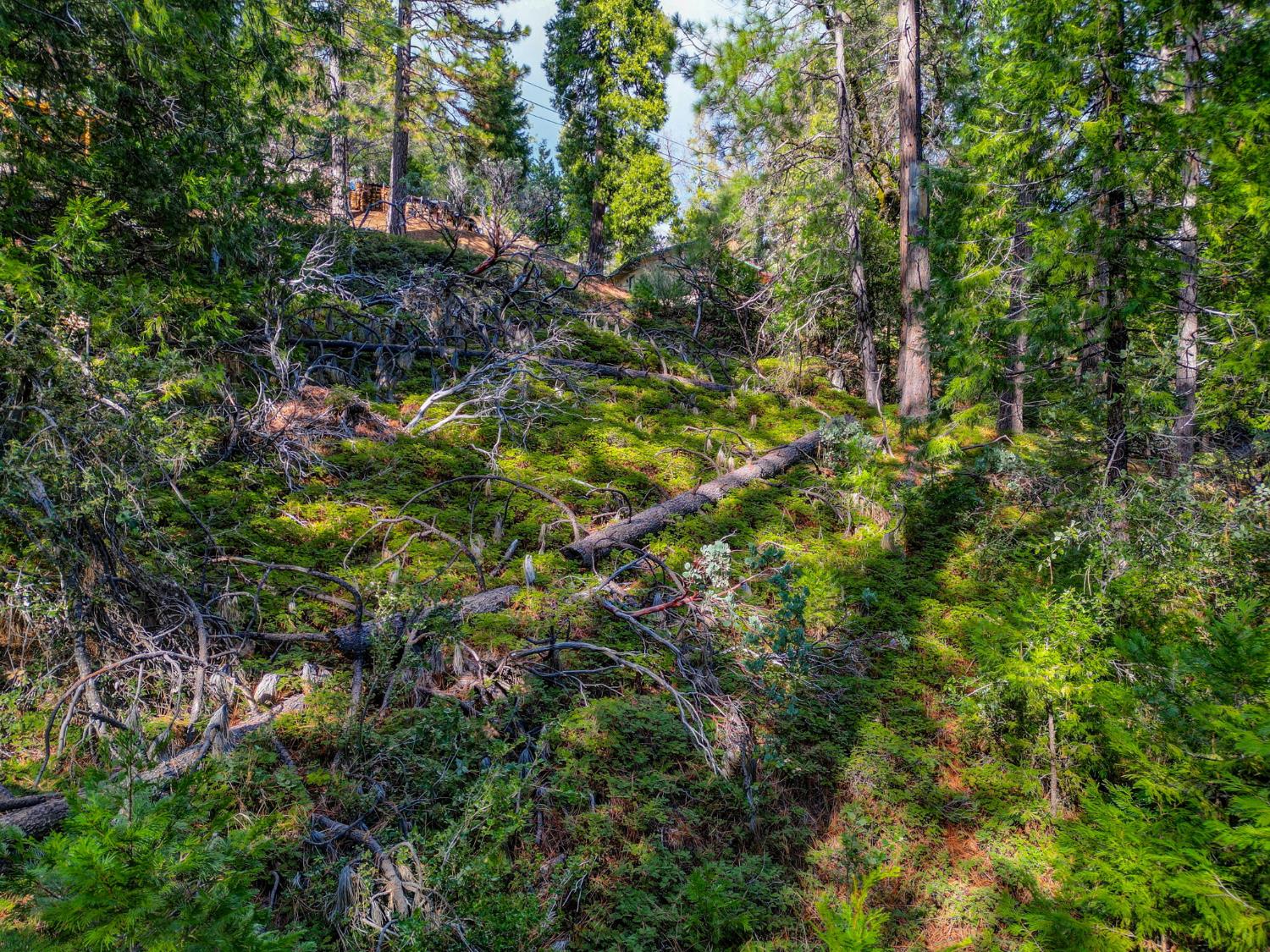 593 Avery Sheep Ranch Road