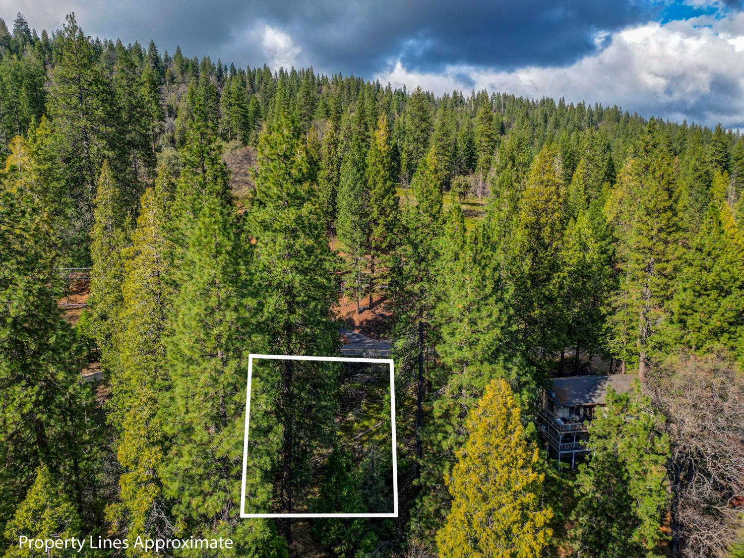 593 Avery Sheep Ranch Road