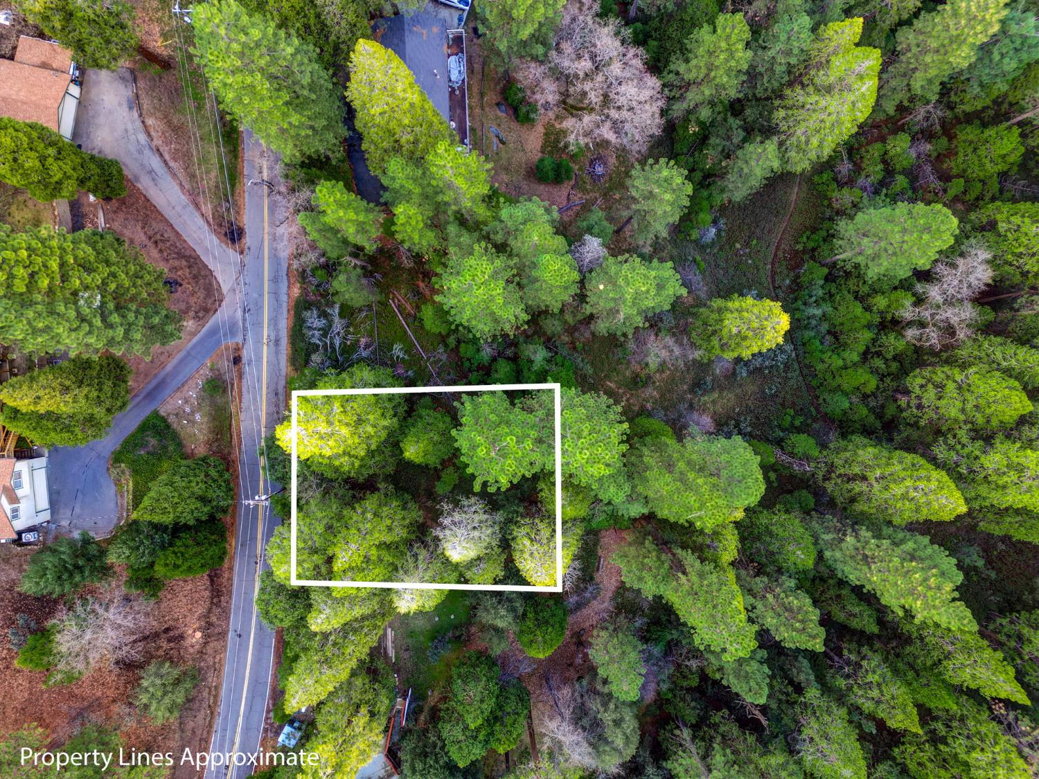 593 Avery Sheep Ranch Road