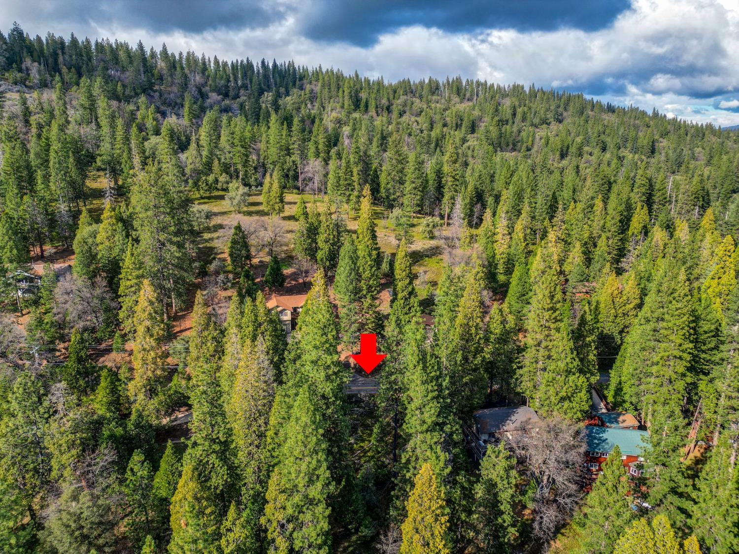 593 Avery Sheep Ranch Road