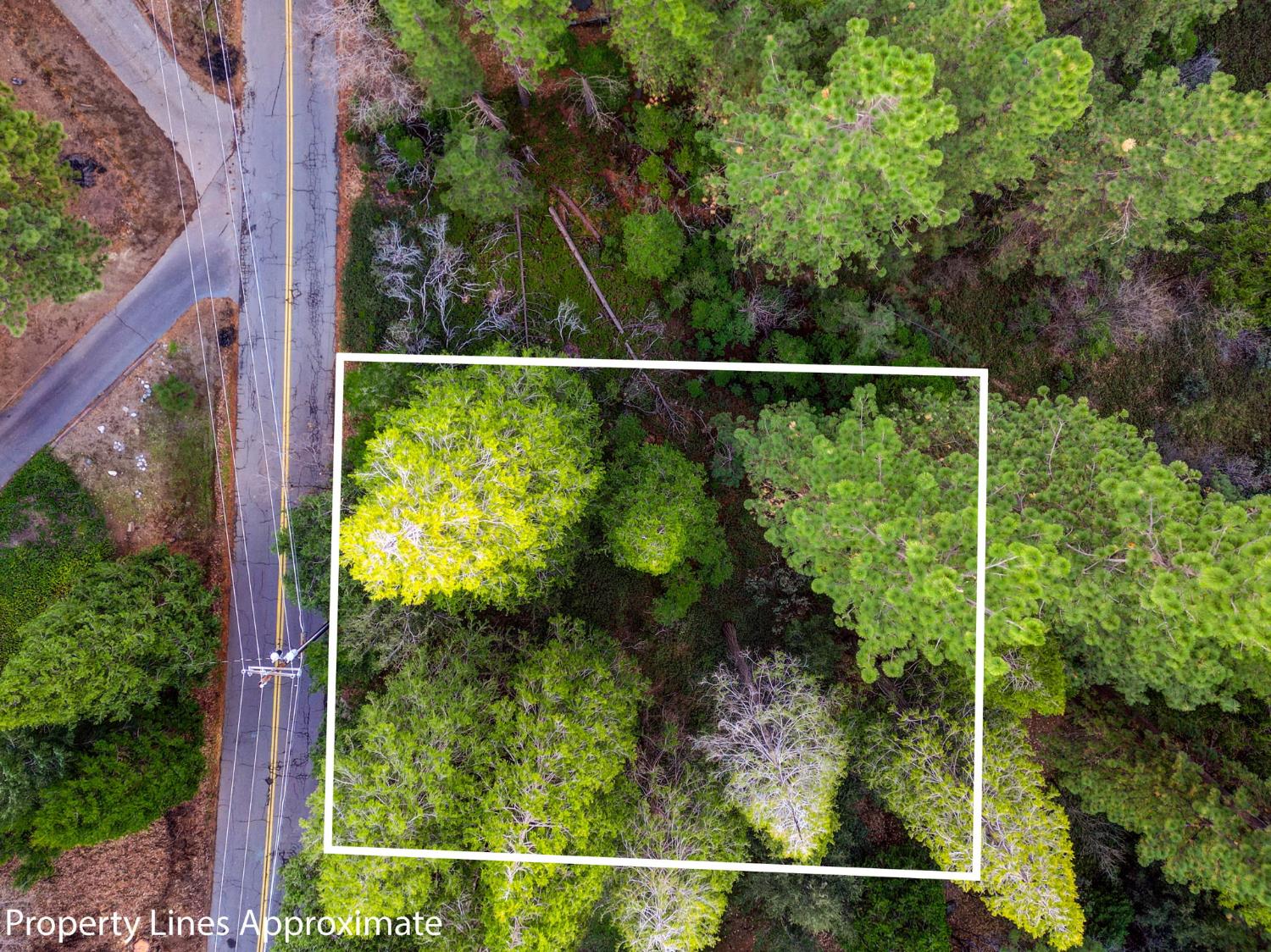 593 Avery Sheep Ranch Road