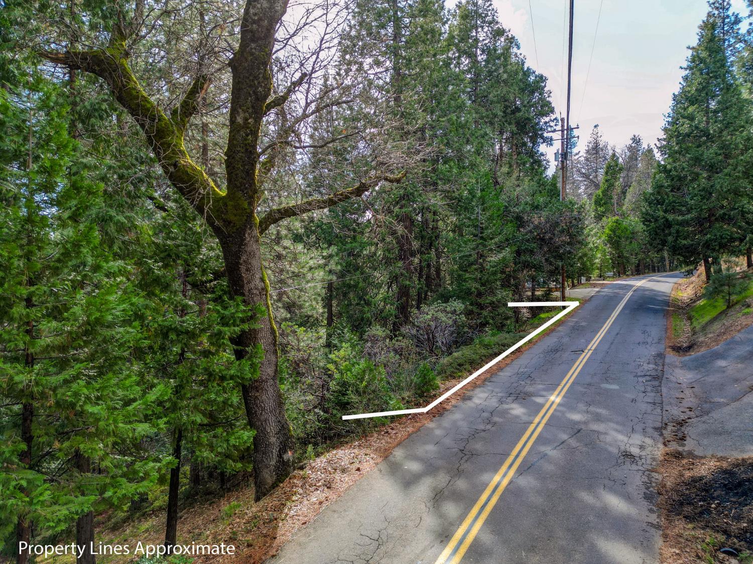 593 Avery Sheep Ranch Road