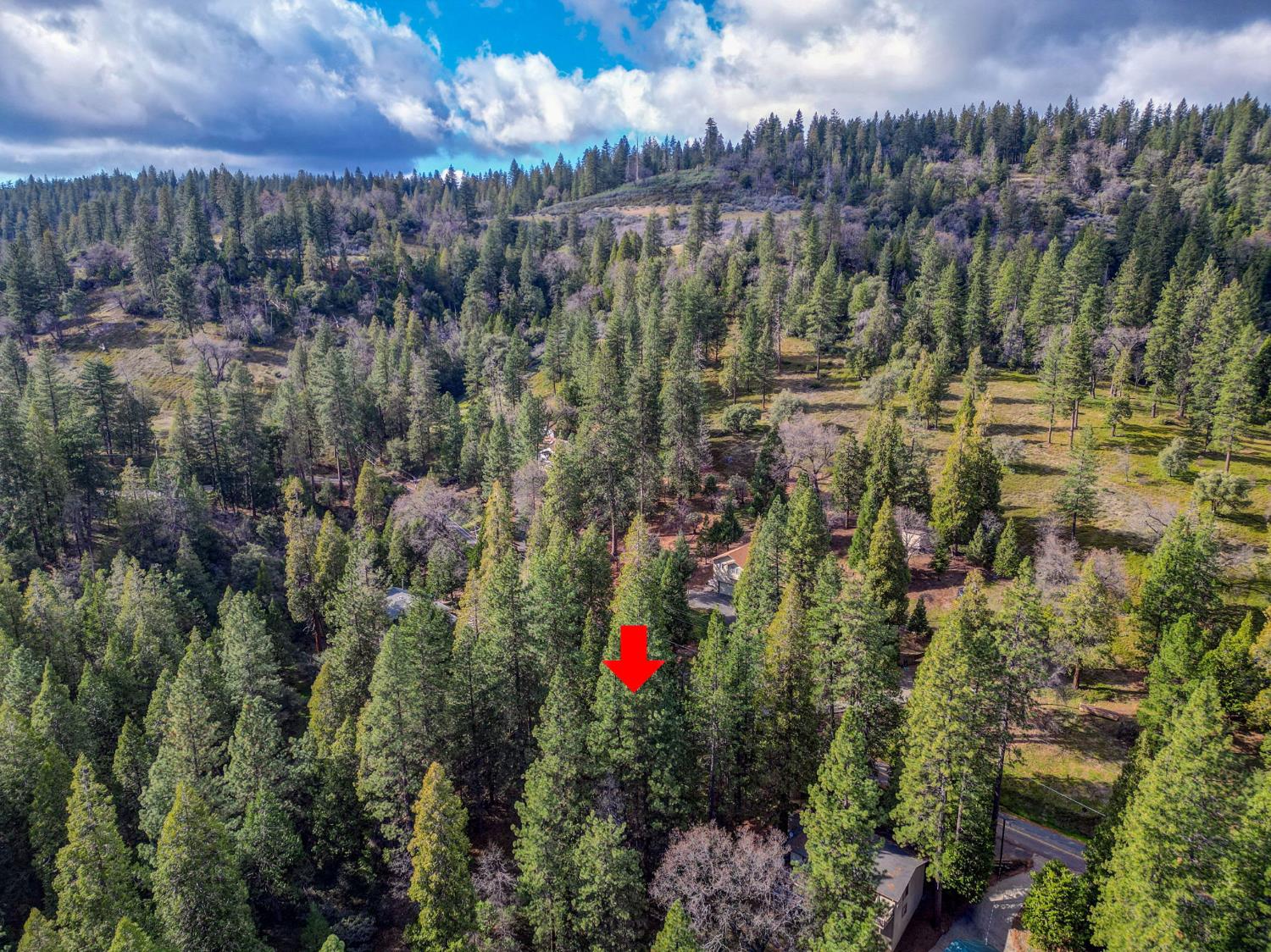 593 Avery Sheep Ranch Road