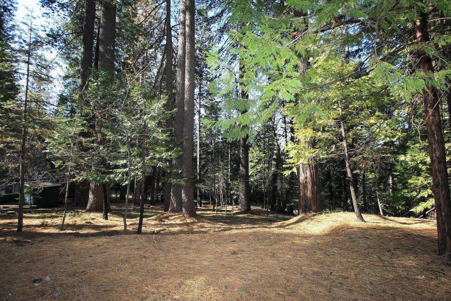 1376 Meadow Drive