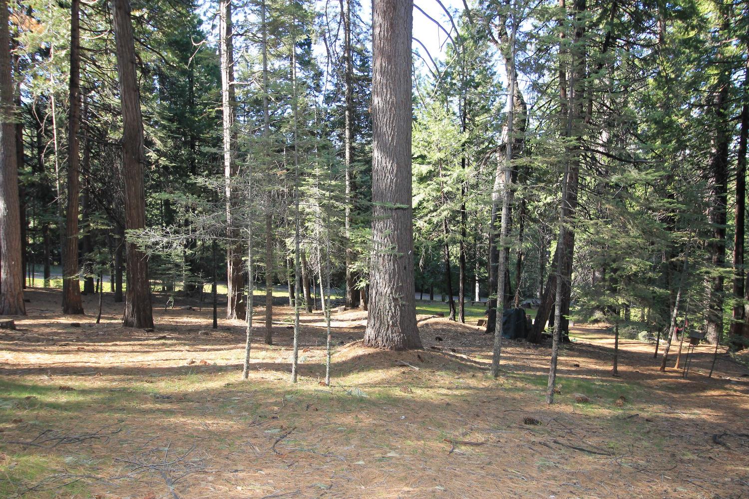 1376 Meadow Drive