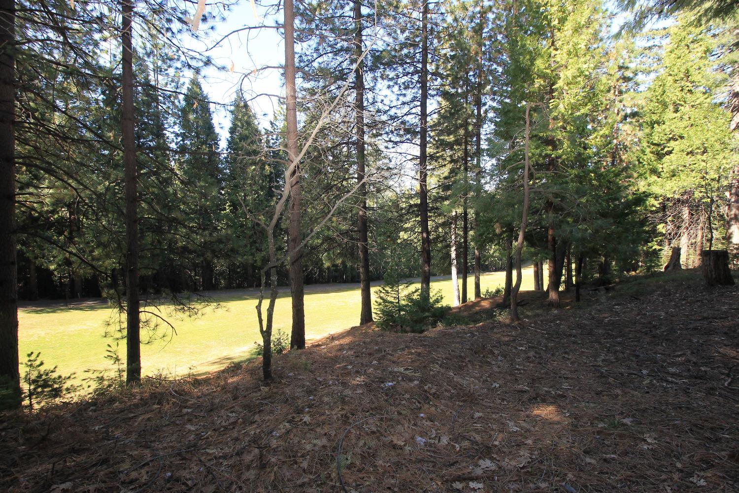 1376 Meadow Drive