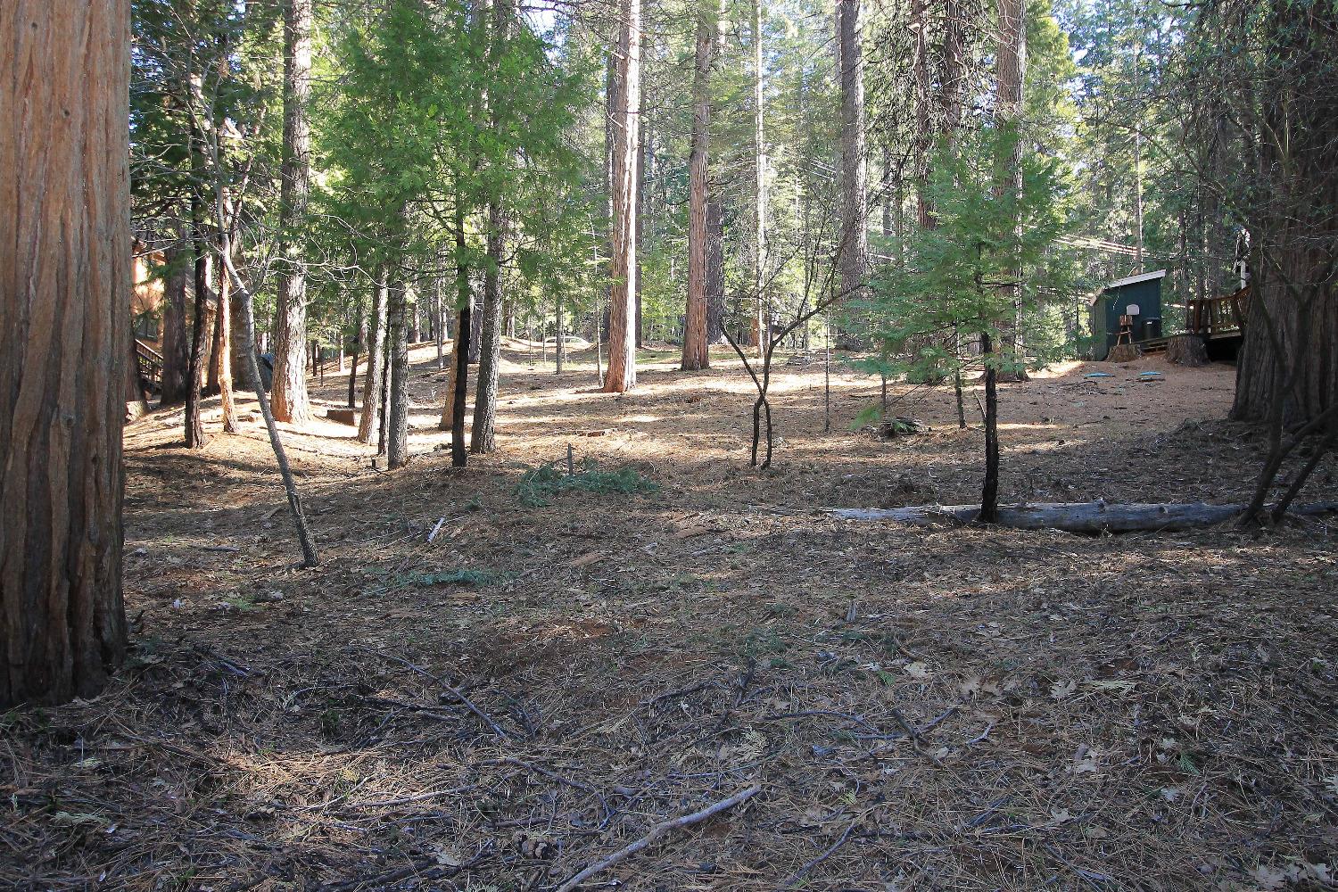 1376 Meadow Drive