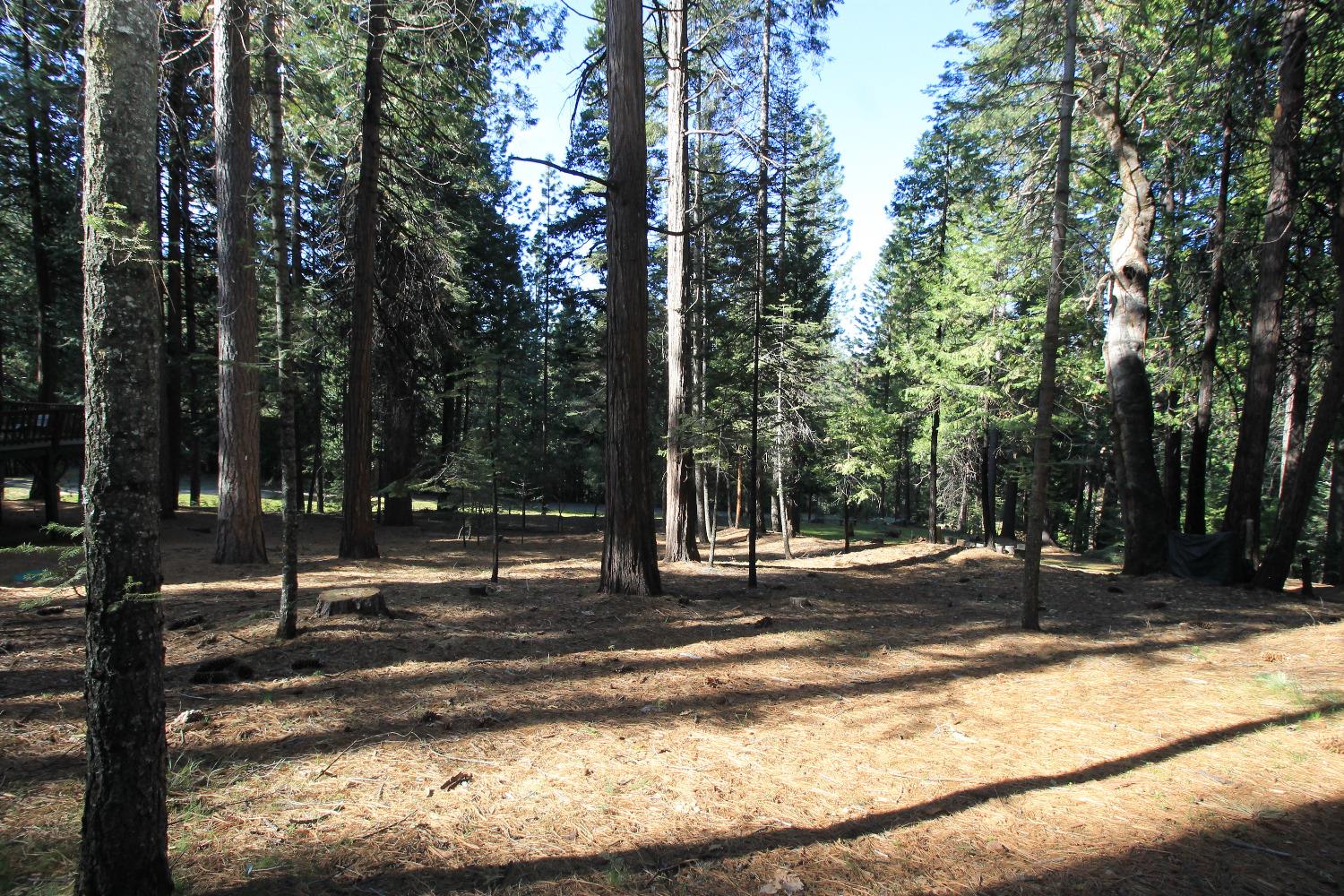 1376 Meadow Drive