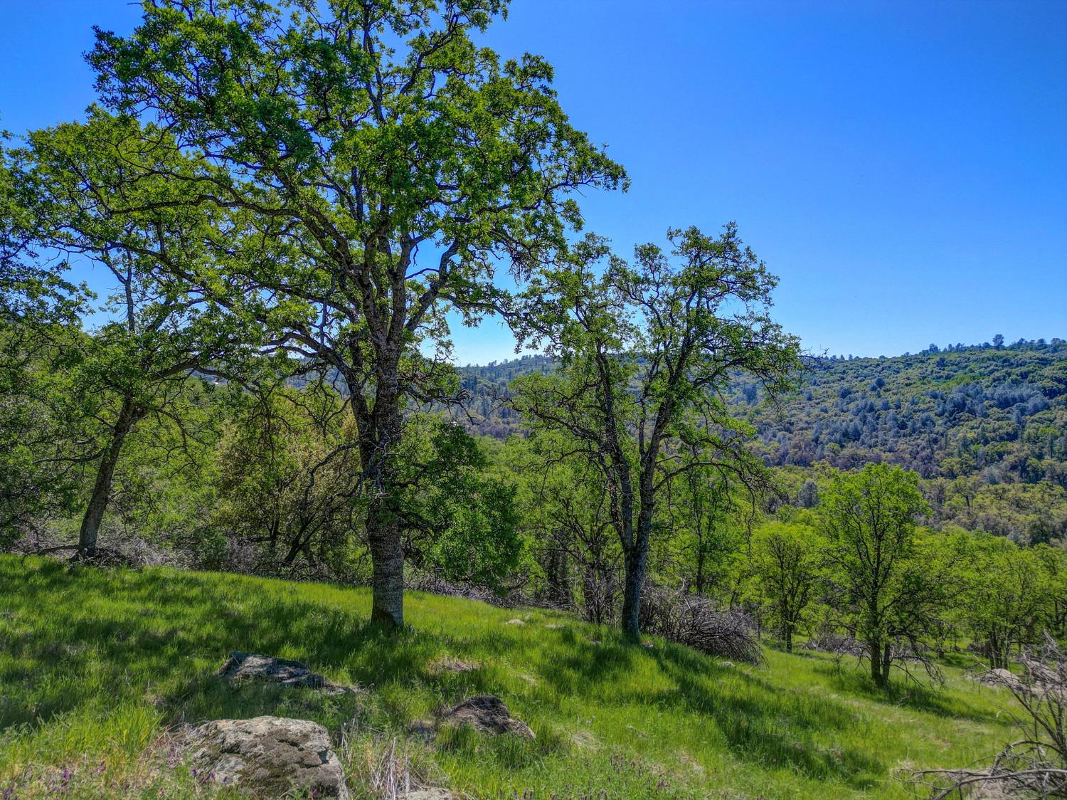 2171 Pinto Drive