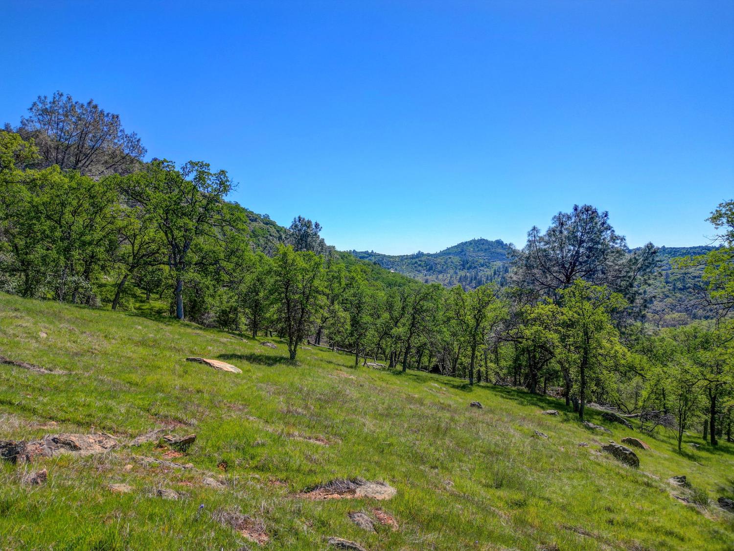 2171 Pinto Drive