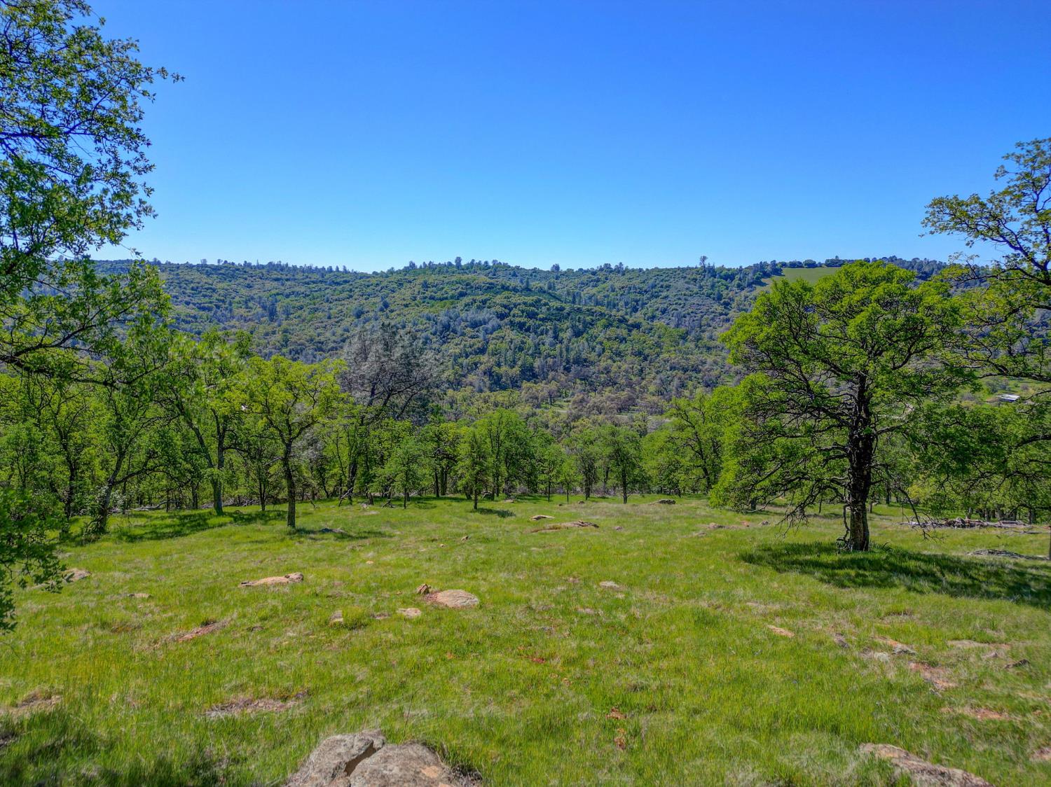 2171 Pinto Drive