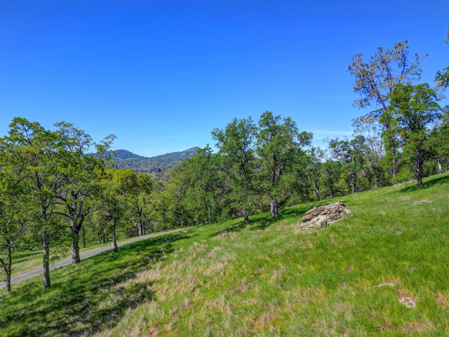 2171 Pinto Drive