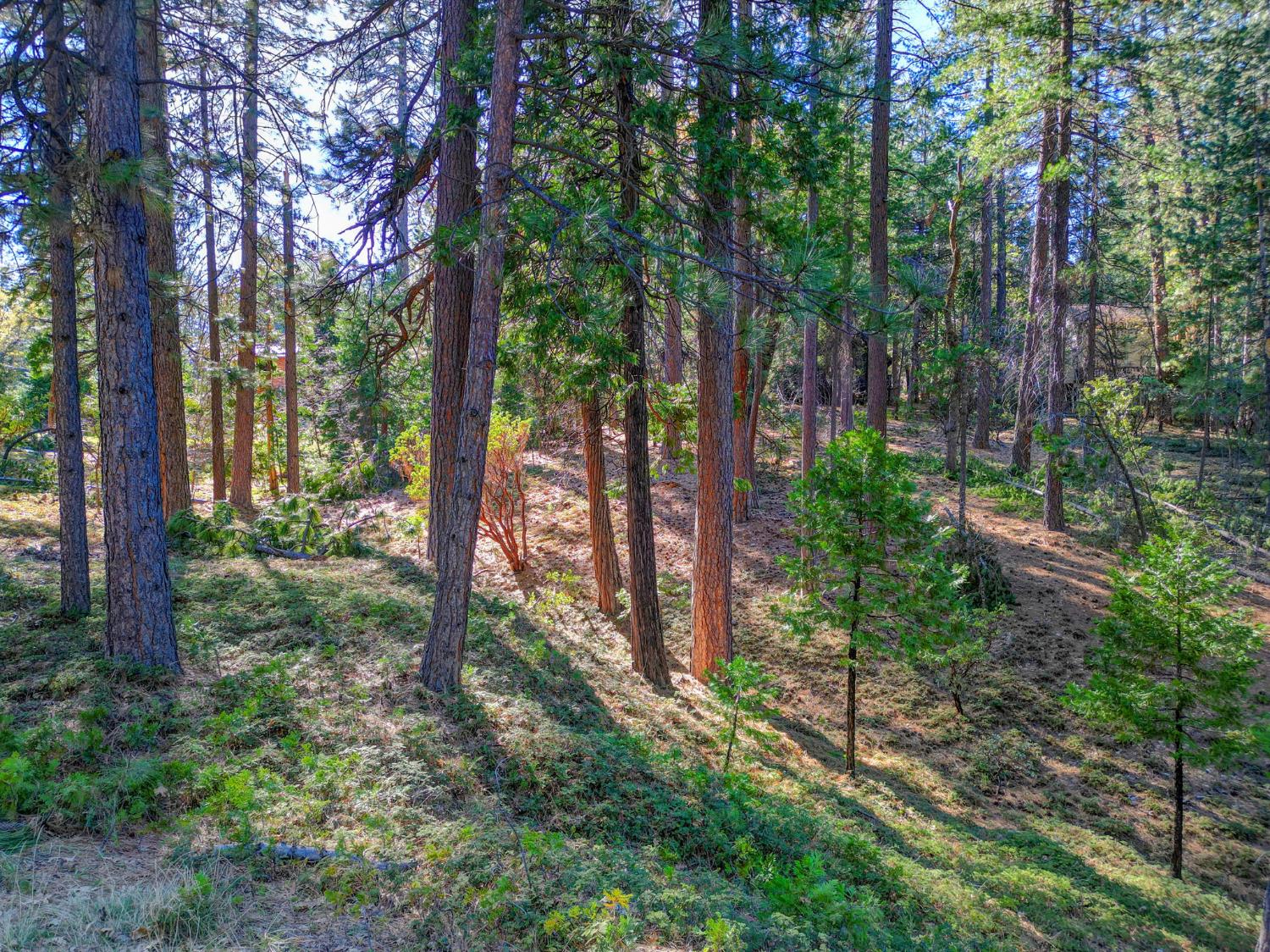 2568 Aspen Way