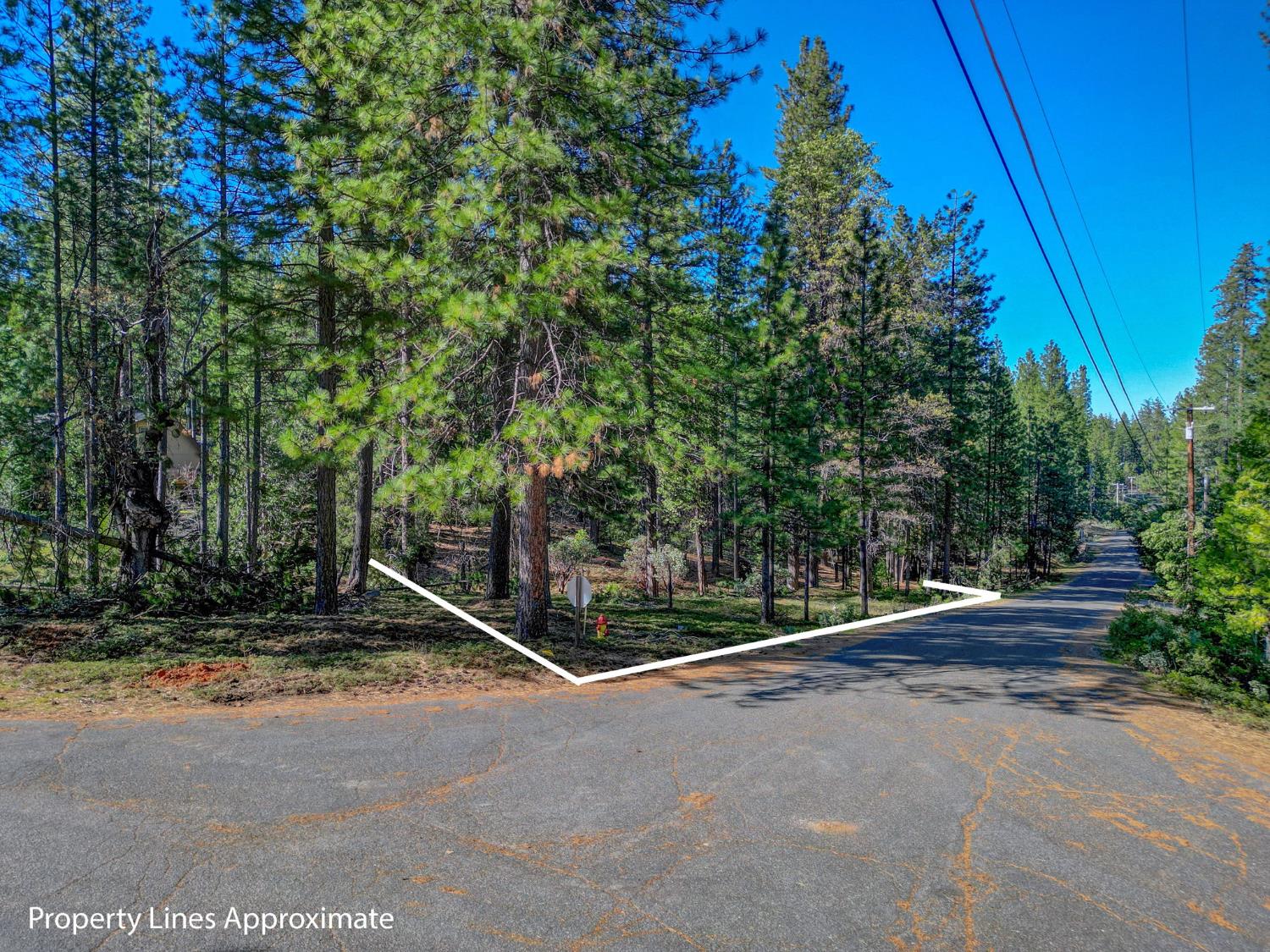 2568 Aspen Way