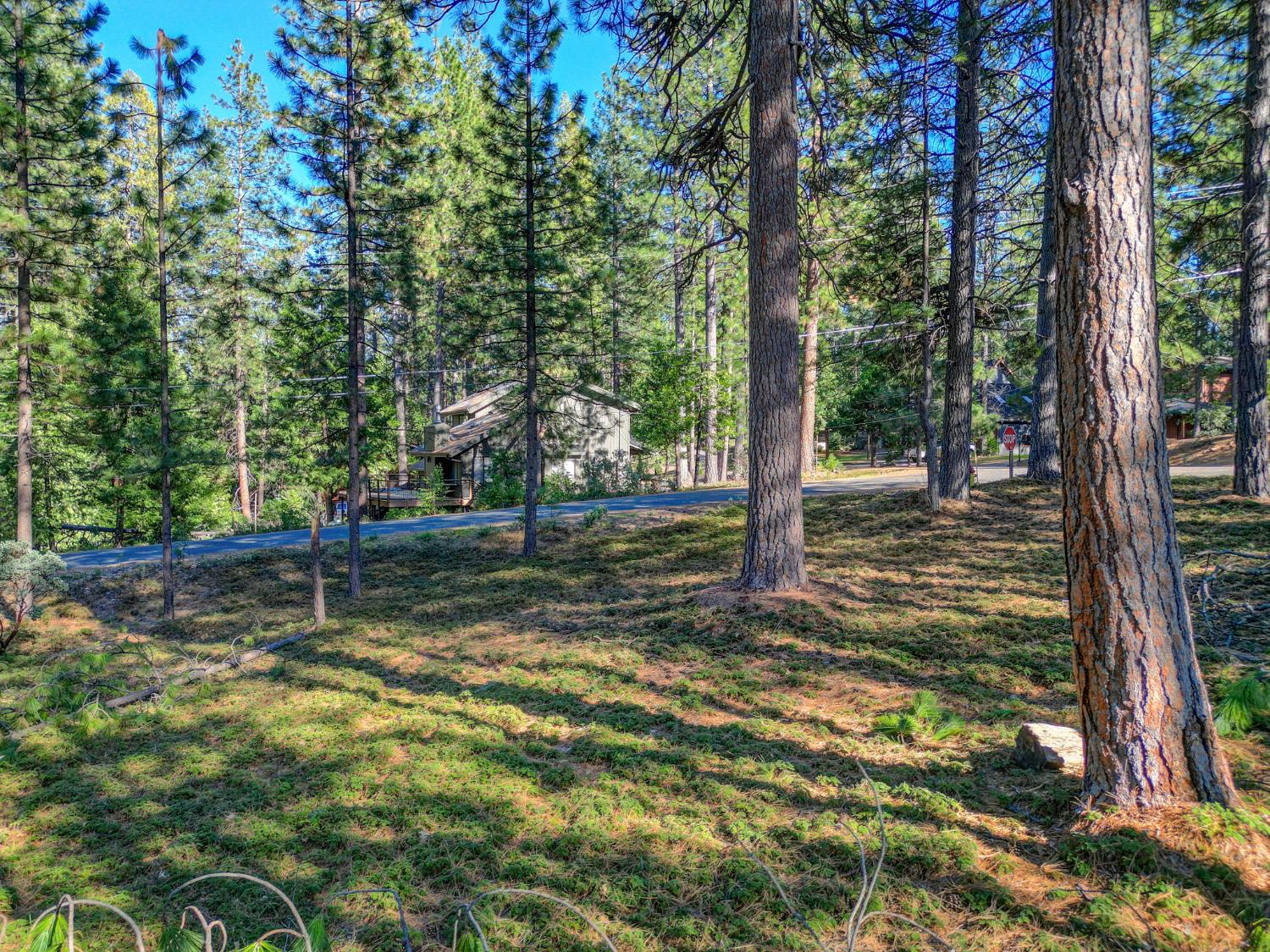 2568 Aspen Way