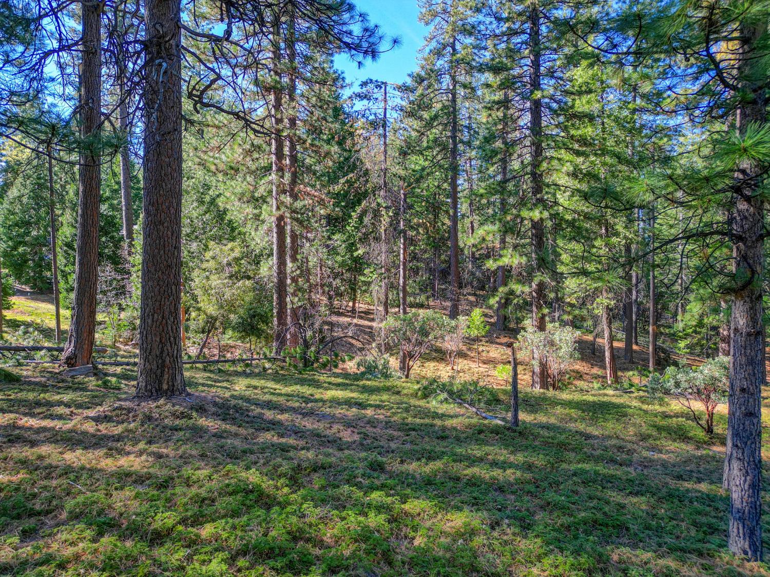 2568 Aspen Way