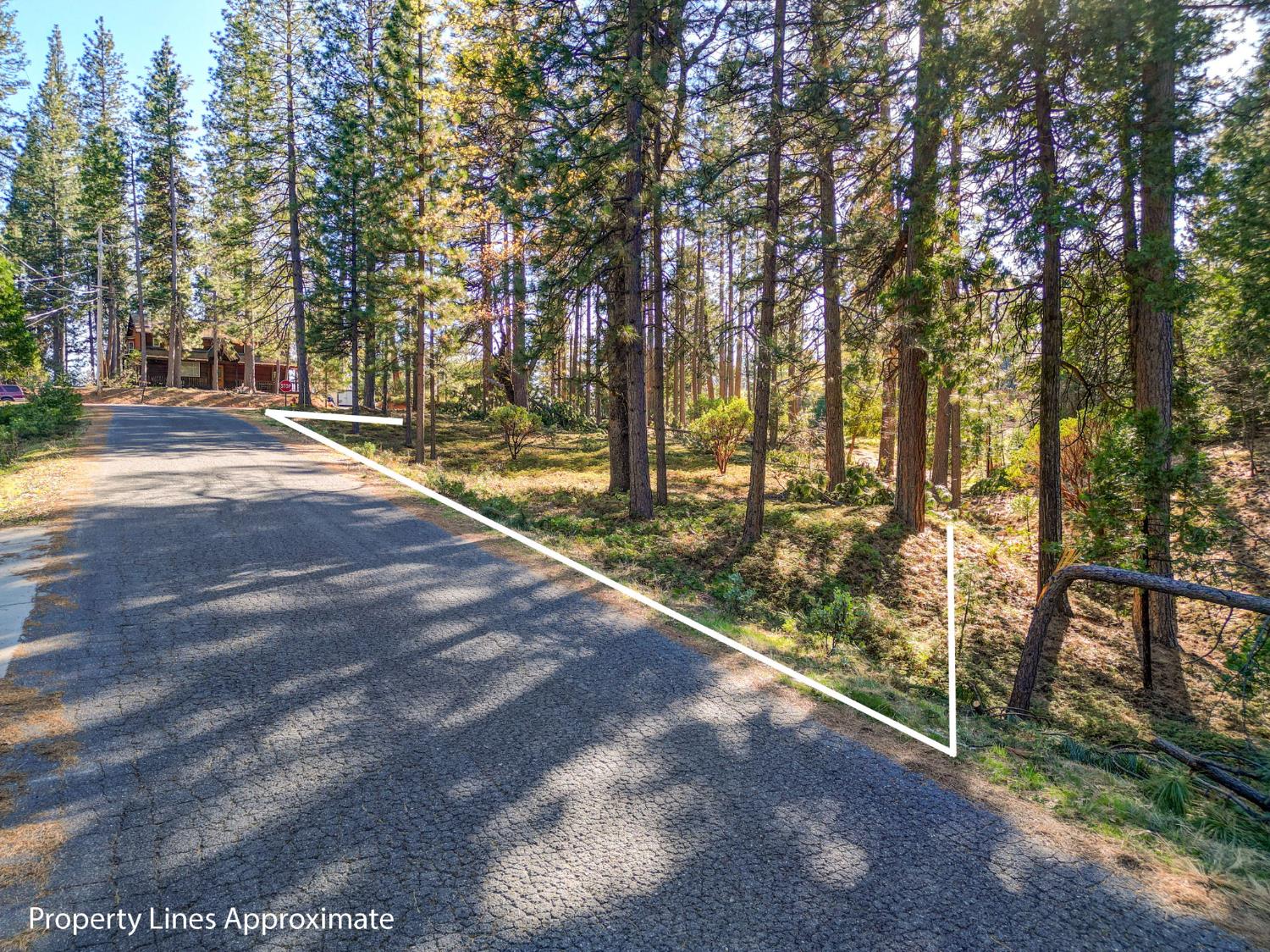 2568 Aspen Way