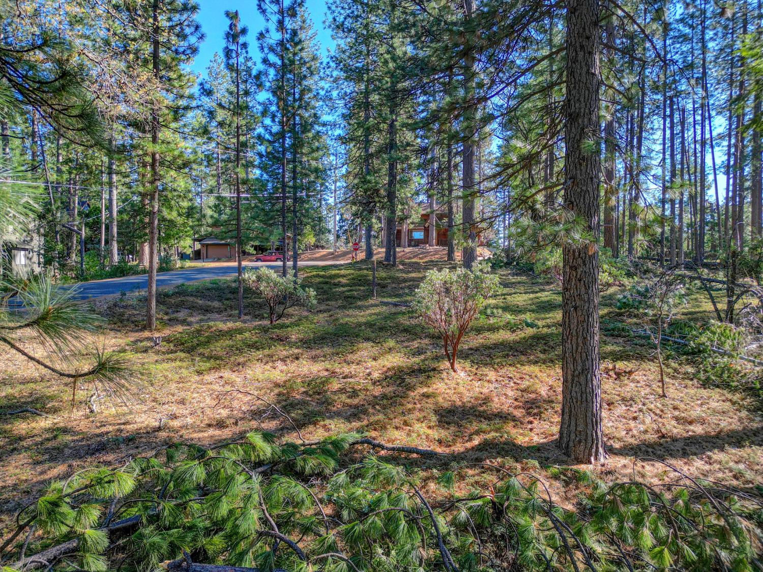 2568 Aspen Way