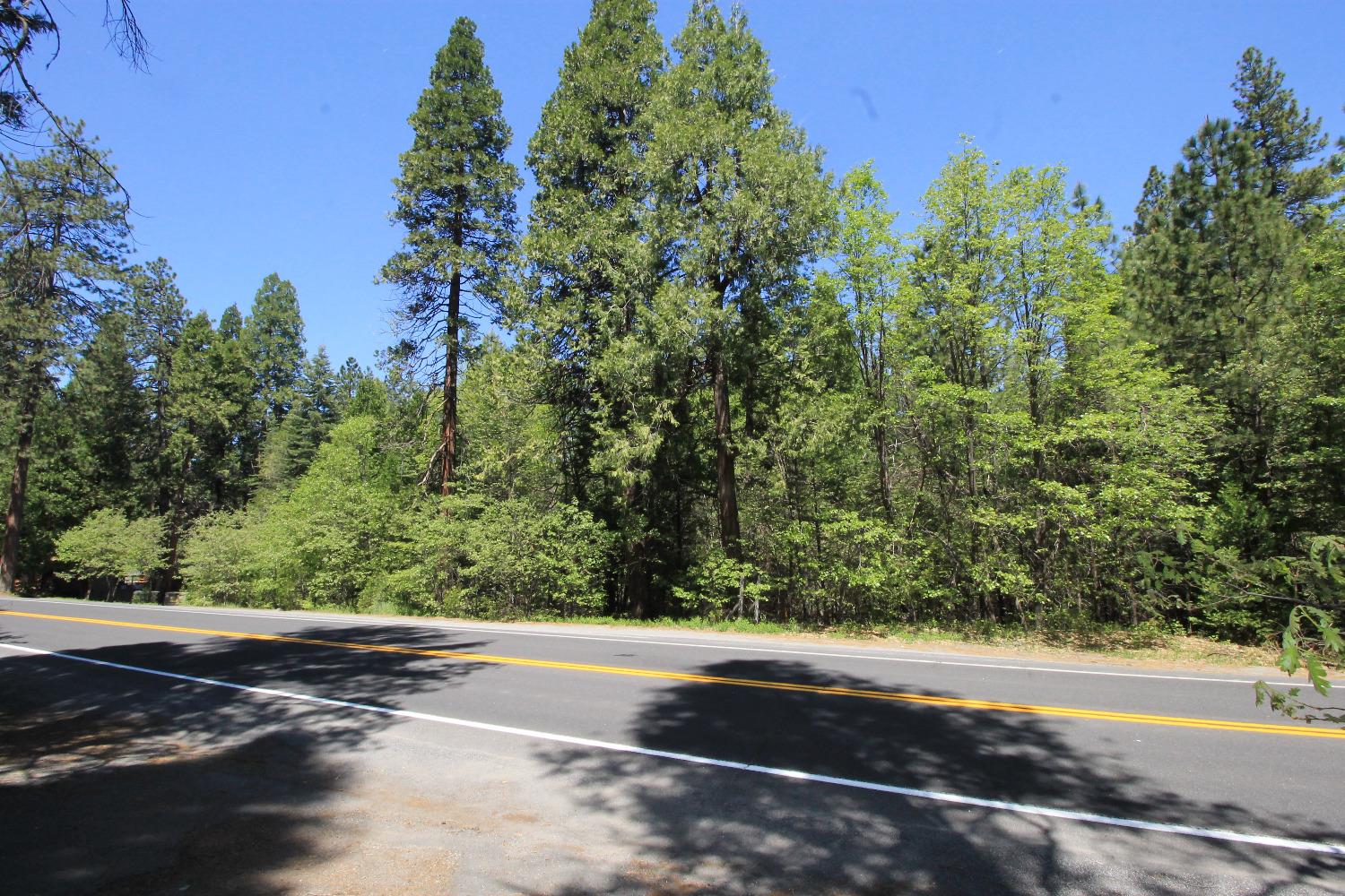 772 Highway 4