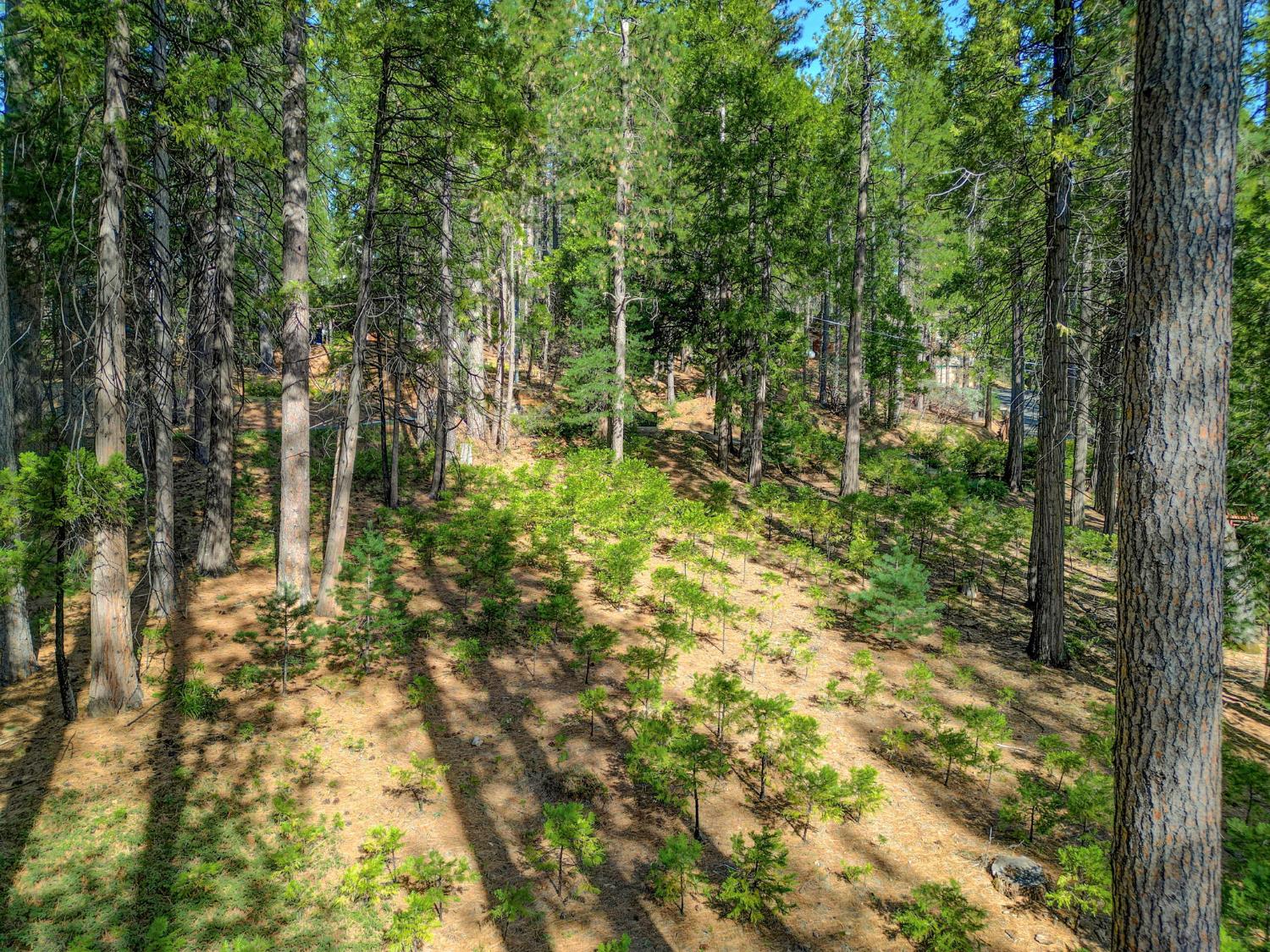 2625 Linnet Lane