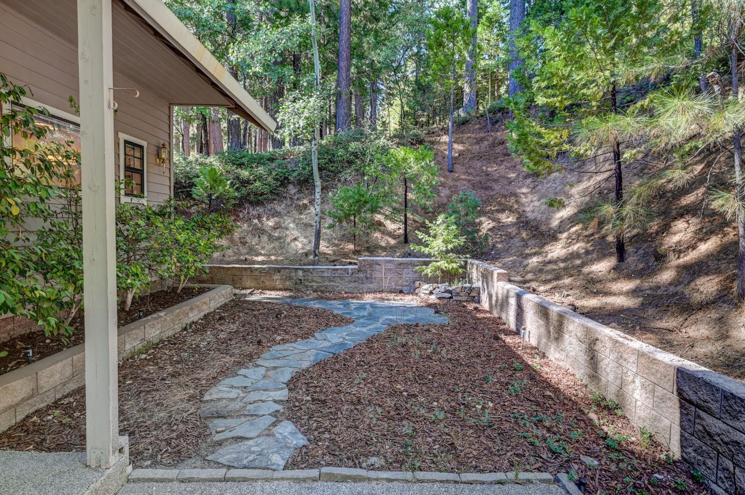 923 Bear Run Way